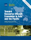 Toward Resource Efficient Economies in Asia and the Pacific: Highlights