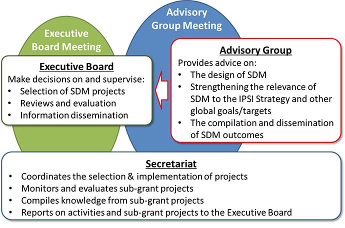 Governance structure of the SDM