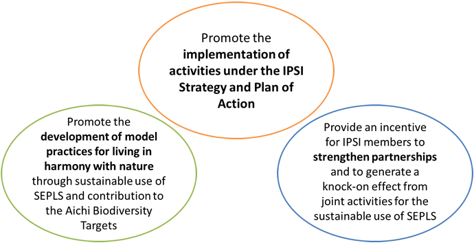 objectives